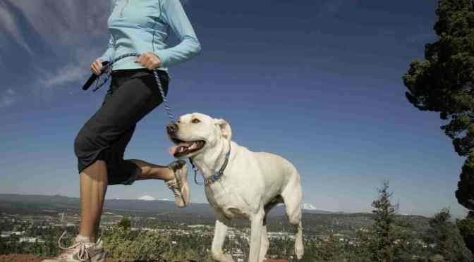 Want to Get Fit? Get a Pet